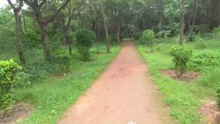 A walk through Punit Van .