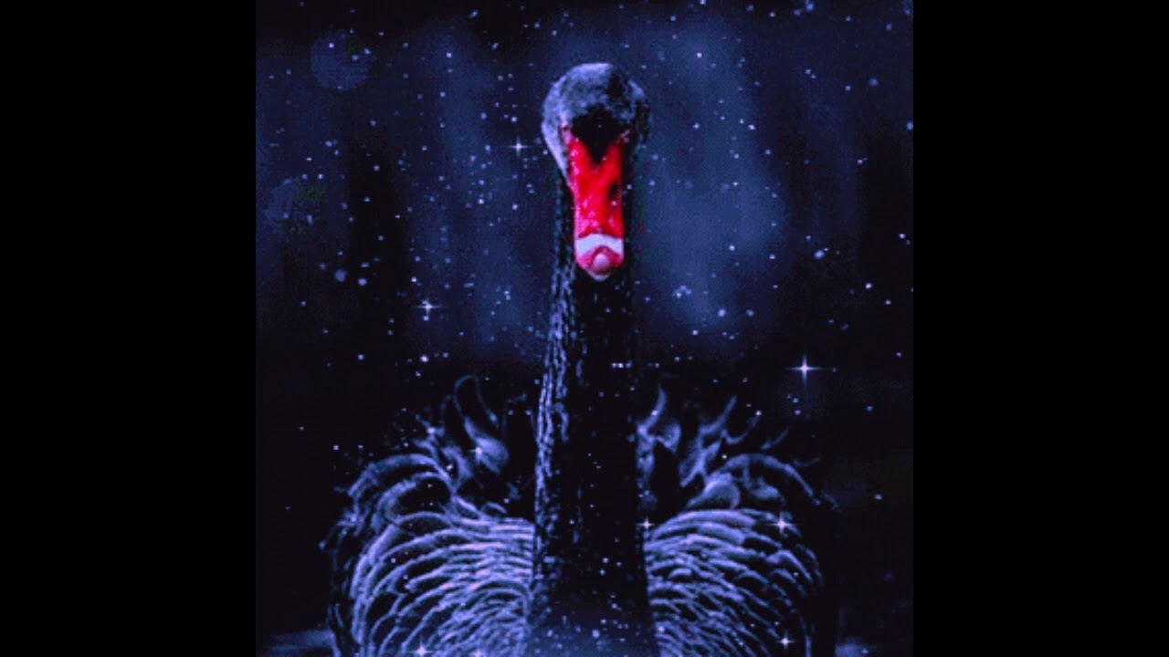 Black Swan (Original Version) - YouTube