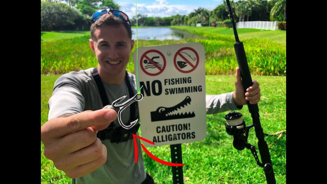 World's STRONGEST FISHING HOOK! *Nuisance Alligator Removal* 