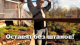 Новый участок и огородные дела// Утки оставят нас без штанов// Плодятся и размножаются.