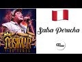 Mix Salsa Perucha - DjDanny