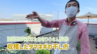収穫したタマネギの保存方法（吊るし方・紐の結び方）｜園芸研究家はたあきひろさん監修