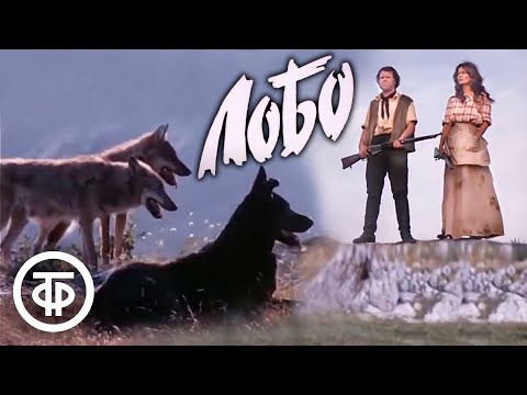 Лобо. По мотивам рассказа Эрнеста Сетона-Томпсона (1978)