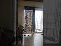 7O8855OOO9 3BHK 2BathsFlats/Apartments for Sale in Express Park View 1, Sector Chi 5, Greater Noida