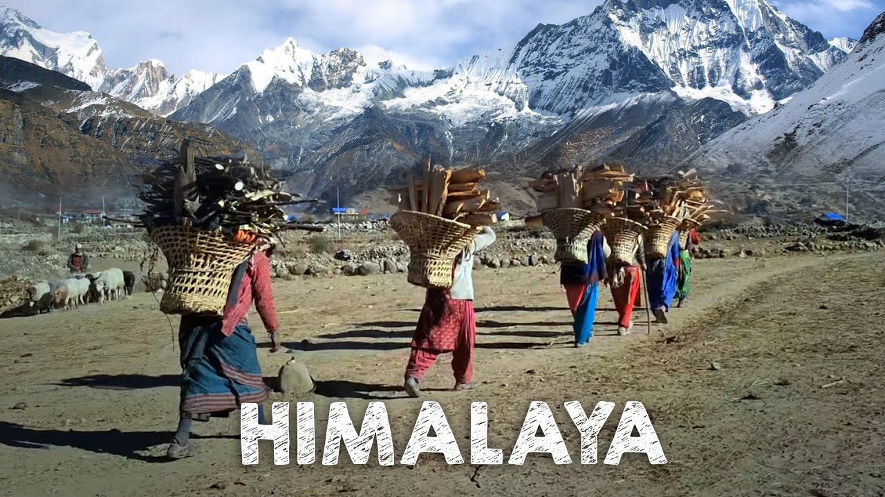 Kehidupan nomaden penuh tantangan di pegunungan Himalaya - Nepal