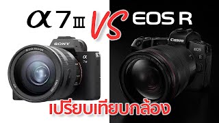 เปรียบเทียบกล้อง Canon EOS R VS Sony A7iii / Mr Gabpa