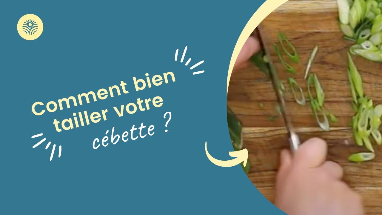 Comment bien tailler la cébette ? YouTube