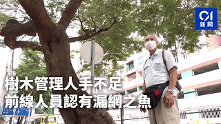 Publication Date: 2022-12-12 | Video Title: 塌樹不斷|管理人手不足 前線人員認有漏網之魚|01新聞