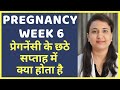 प्रेगनेंसी का छठा सप्ताह | PREGNANCY WEEK 6