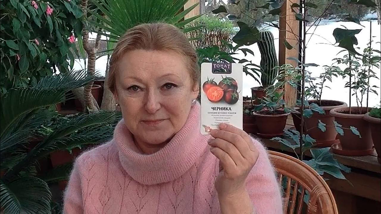 Целебные томаты - YouTube