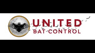 McKinney Bat Removal and Pest Control | 866-747-2287