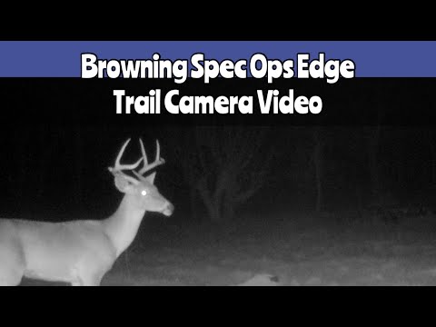 Spec Ops Edge: Browning Trail Cam Jan. 11-20, 2023