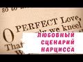 Любовный сценарий нарцисса | Этапы отношений с нарциссом