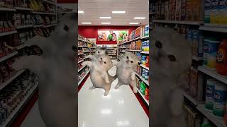 Funny Cats Meme Compilation - Best of 2026