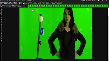 Curve And Rotoscoping