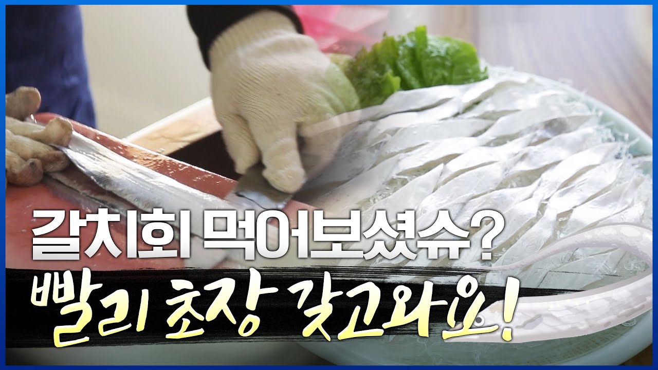 윤기가 좌르르르~ 흐르는 제주도 갈치회, 입안에서 파도치는 맛이래요! 제주도 생선들을 소개합니다 #갈치 #옥돔 #벵에돔