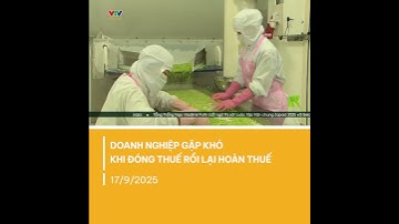 Doanh nghiệp kiến nghị miễn VAT cho xuất khẩu nông sản | VTV CẦN THƠ