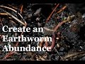 How to Create an Abundance of Earthworms in Your Garden