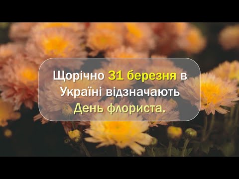 День флориста в Україні 🌸 Історія, цікаві факти та привітання | Хто такий флорист?