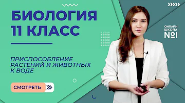 Приспособления к действию экологических факторов: вода. Видеоурок 25. Биология 11 класс
