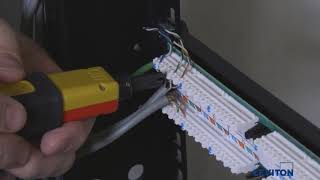 how to ground a leviton 110 style cat 6 patch panel europe