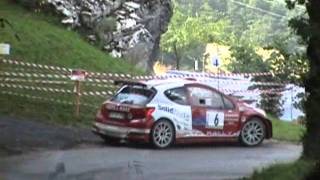 Rally Bellunese 2011.wmv