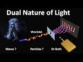 Dual Nature of Light | Particles and Wavicles | Electromagnetic Wave Propagation