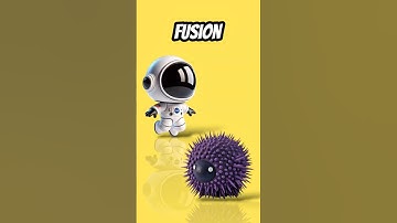 Astronauts  and sea urchins #animash #hybridanimals
