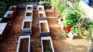 உங்க வீட்ல மாடித்தோட்டம் போடனுமா இதை பாருங்க !,  easy way to make a terrace garden.