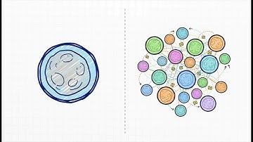 Holochain - Digital Organism