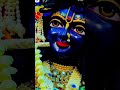बड़ा ही दयालु है बांके बिहारी 🙏🌟💐🌺🦚💞#like #comment #share #viralvideo #trendingreels #jaishreeshyam