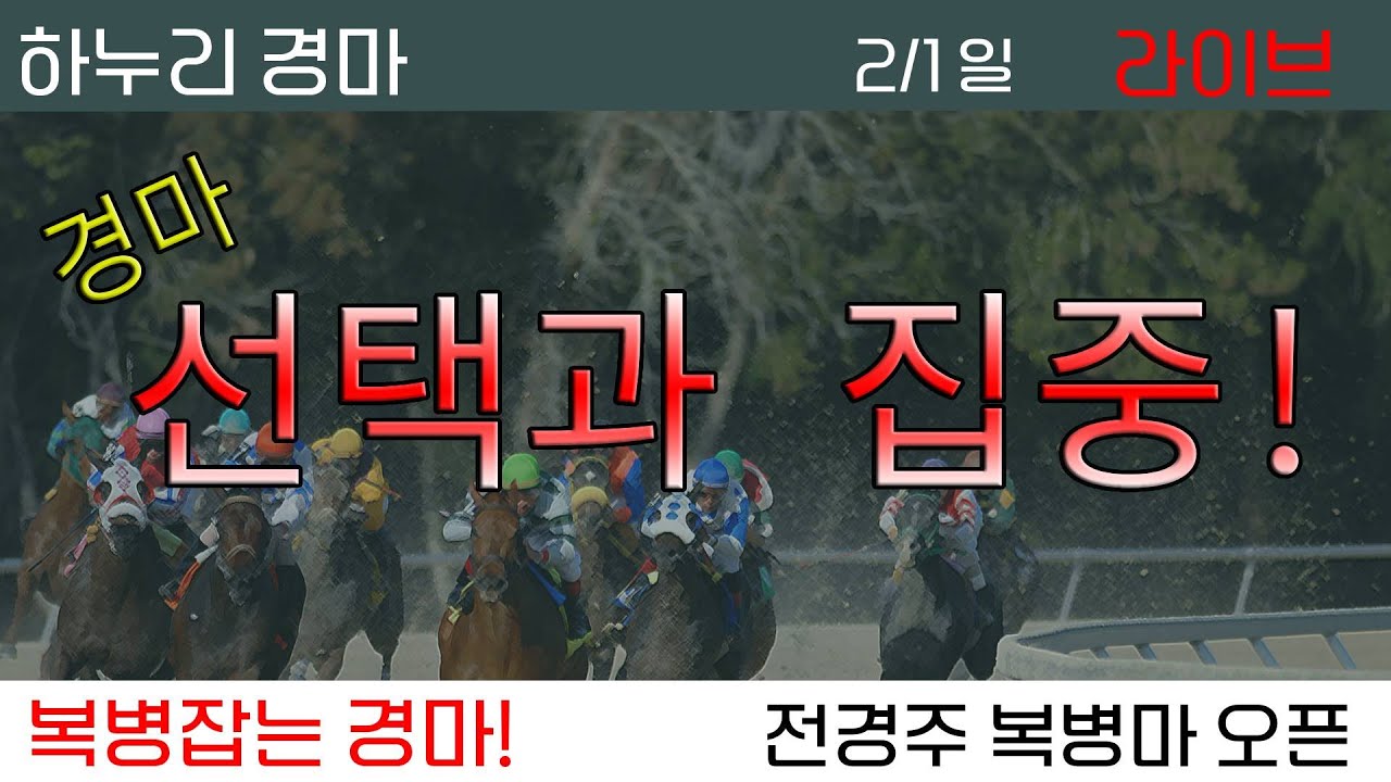 26/2/1(일) 경마 선택과 집중!오전장 초토화! 6경주,10경주 A급!!