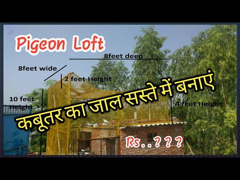 Lockdown मे कबूतर का जाल सस्ते में कैसे बनाएं ।। How to make pigeon net/cage in low cost