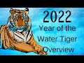 2022 Water Tiger – Explosive Energy of Rebellion and Freedom