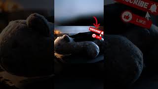 Snipping Velvet Plush for Ultimate Calm 😌✂️ | ASMR Labubu #anxietyrelief #asmr