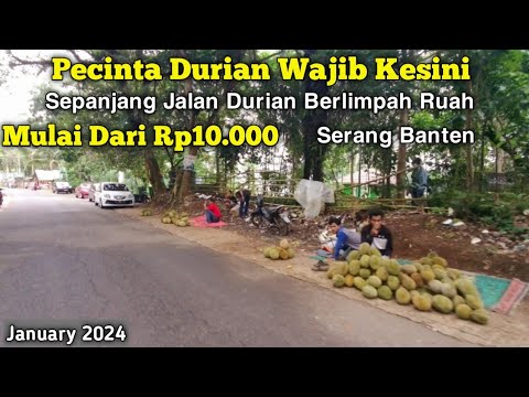 MENYUSURI DAERAH PENGHASIL DURIAN - SERANG BANTEN INDONESIA I January2024