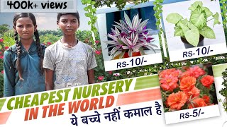 Roadside Cheapest Nursery in Delhi | World