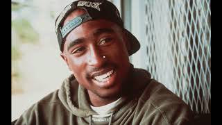 Celebrity 2PAC - CHANGES - EXTRA LONG CHILL MIX - PADDY C Net Worth