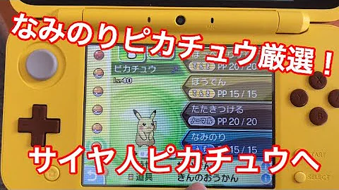 波乗りピカチュウ 厳選