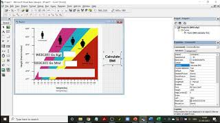 Celebrity Program to calculate BMI in VB Net Worth