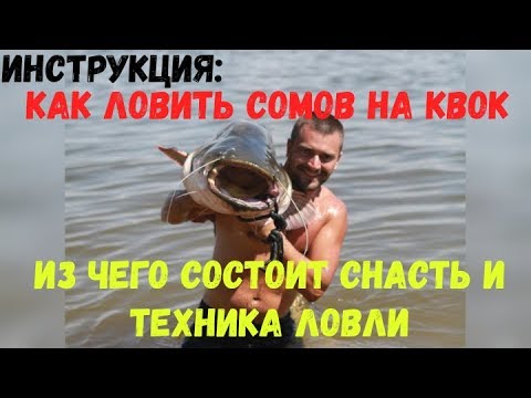 Инструкция по ловле сома на квок: из чего состоит снасть, выбор наживки, техника ужения и результат