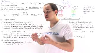 Download Lagu RNA Polymerase MP3 Download Lagu RNA Polymerase MP3