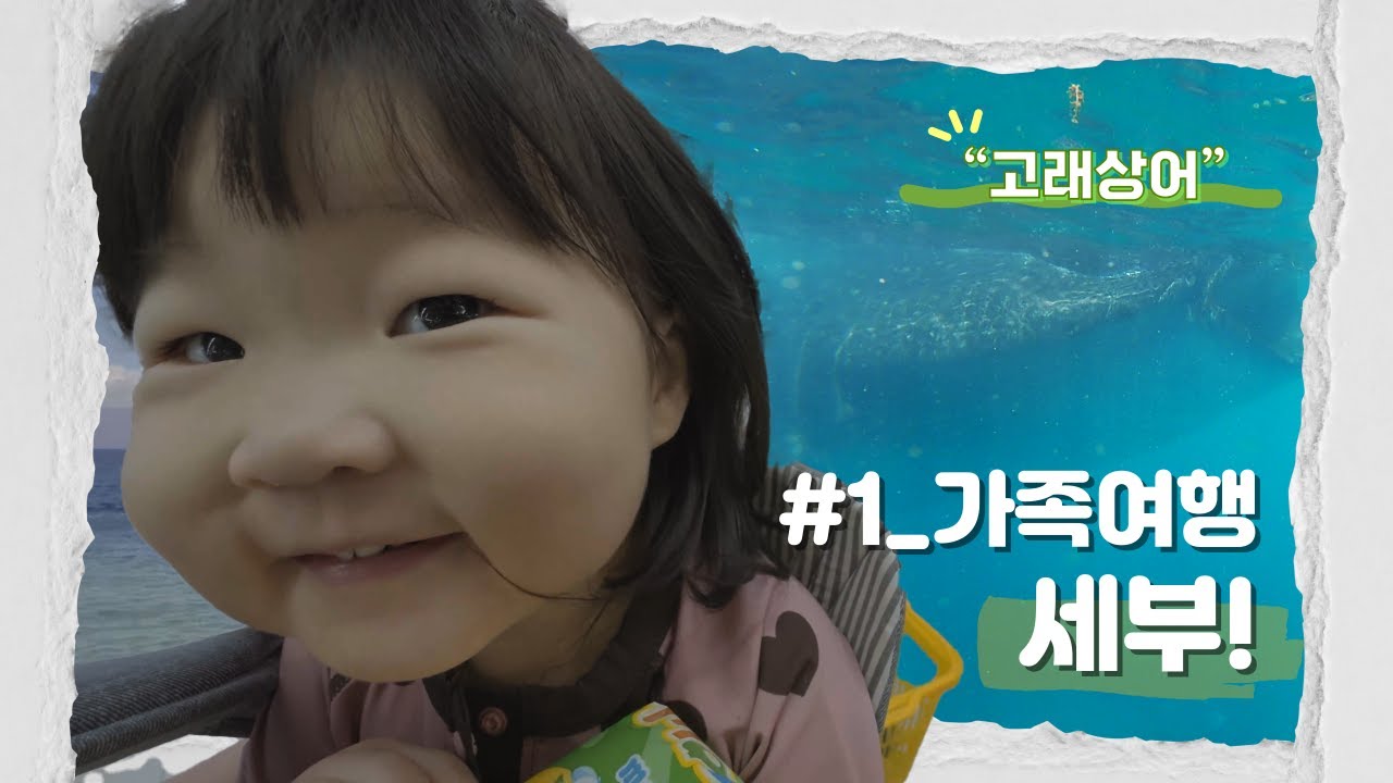 세부 가족여행 4박 6일 코스 총정리! 🇵🇭 오슬롭 고래상어 & 모알보알 거북이 (아이와 함께하는 현실 육아 여행)