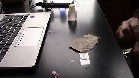 Red Onion Diffusion with Salt water