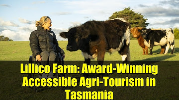 Lillico Farm: Award-Winning Accessible Agri-Tourism in Tasmania