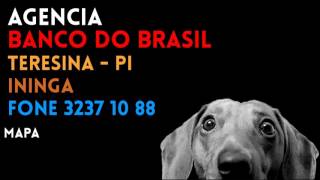  Agncia Banco Do Brasil Em Teresinapi Ininga  Contato E Endereo
