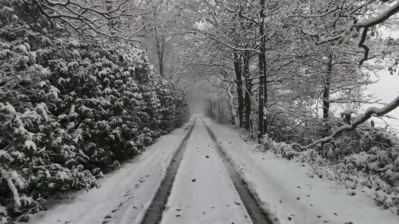 Muzik Shqip 24/7 | Vibe & Remix