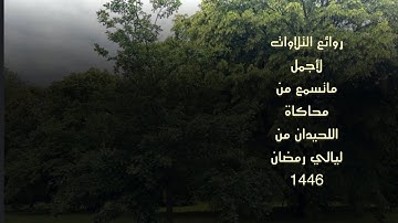 من روائع التلاوات من محاكاة اللحيدان للقارئ عبدالرحمن ناجي من الليلة 13 من ليالي رمضان1446