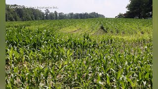 The Benefits of Crop and Farm Insurance are Bountiful, Daisey Insurance Explains Why