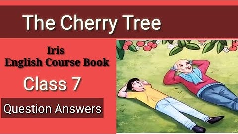 class 7 Eng The cherry tree question answers